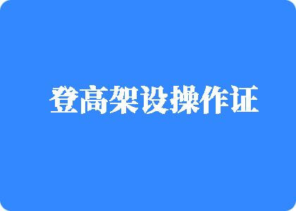 小骚逼好痒大鸡巴快点操我小骚逼免费视频登高架设操作证